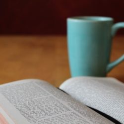 Bible Study Bible Study