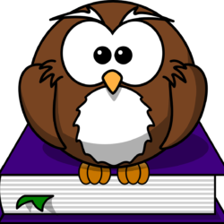 learning owl