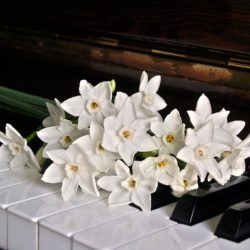 piano & flowers