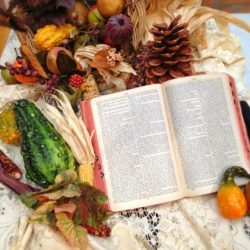Bible Autumn Bible Autumn